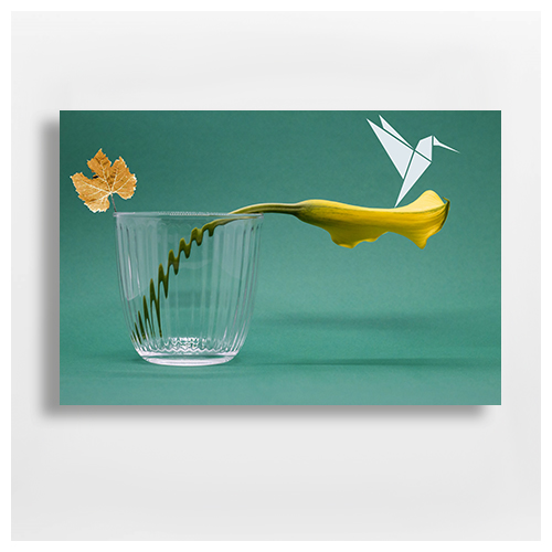 Walter Kerios artist for Interior Designers